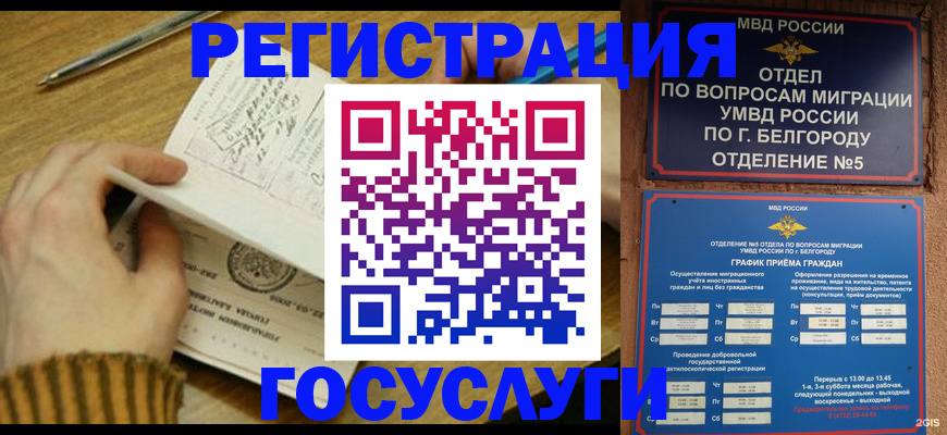 прописка иностранных граждан в Мытищах